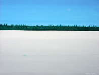 wolf tracks snow and blue sky usa winter landscape